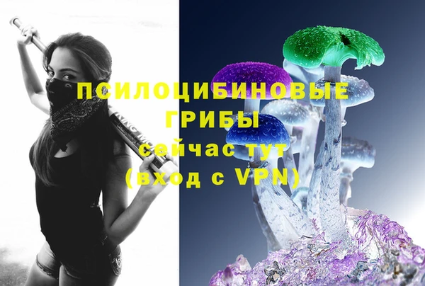метадон Армянск