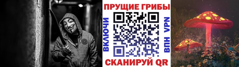 купить наркоту  Богородск  Псилоцибиновые грибы Magic Shrooms 
